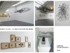 gallerifarum